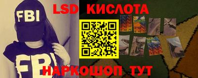 прущие крисы Бийск