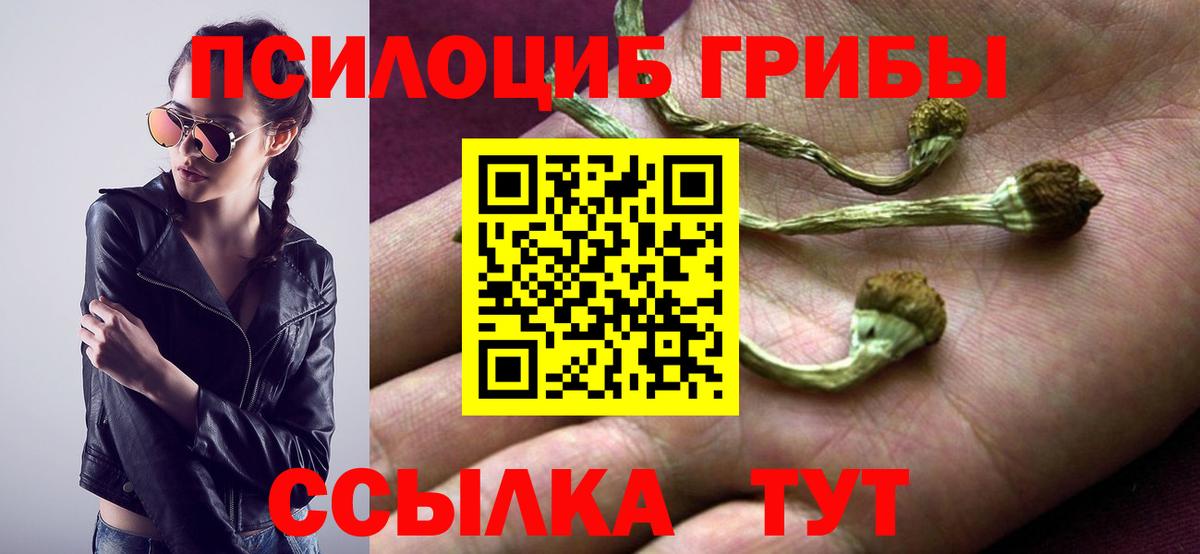 Кировск  Галлюциногенные грибы Cubensis  Псилоцибиновые грибы мухоморы  Вход с VPN 